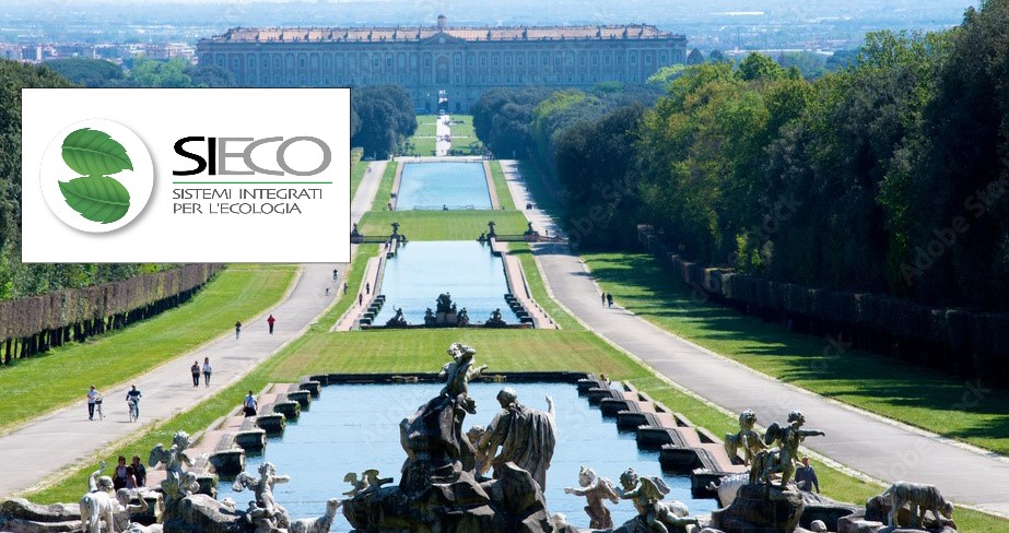 sieco